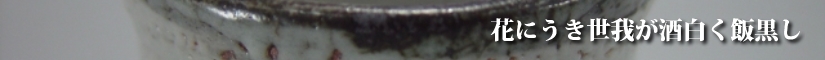 唐津皮鯨　ぐい呑み作品集　花にうき世我が酒白く飯黒し