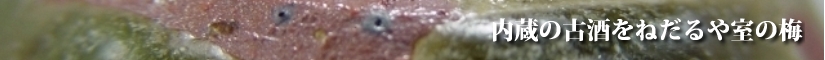古唐津に魅せられて　古唐津風ぐいのみ青唐津　盃　唐津焼　内蔵の古酒をねだるや室の梅